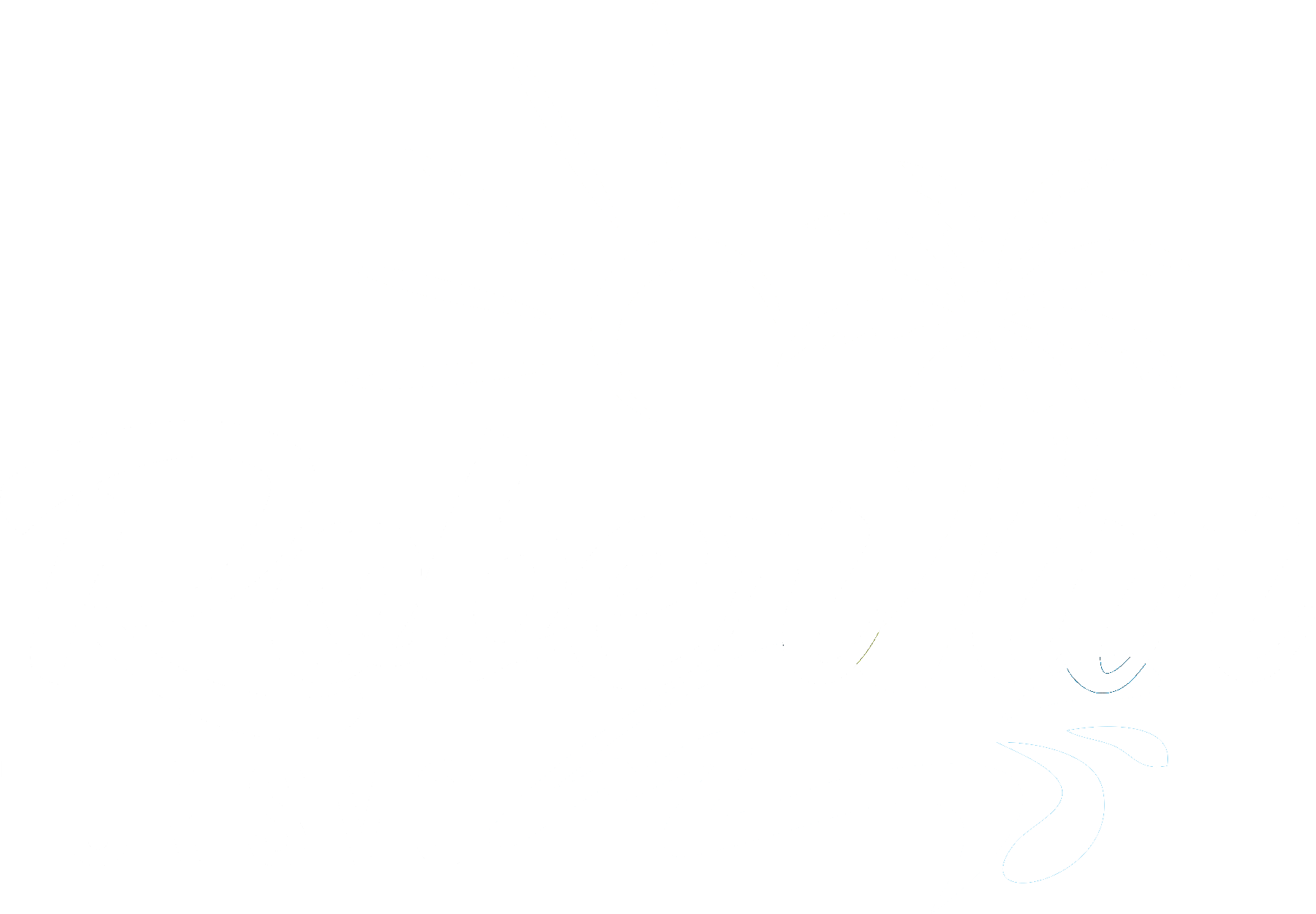 Robertur Turismo